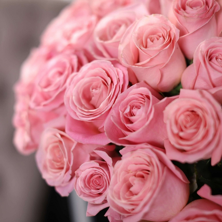 25 Розовых роз Импорт 80 см "Эрмоса" - BLOOM | Rose