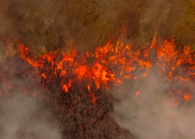 В Украине на два дня объявили чрезвычайную пожарную опасность
