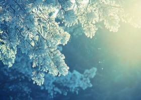 Синоптики дали прогноз на грудень - українців очікують невеликі морози та сніг