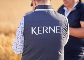 Kernel vs «Сенс Банк»: чому позов на 1,75 млрд грн опинився саме у судді Погрібної